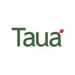 taua